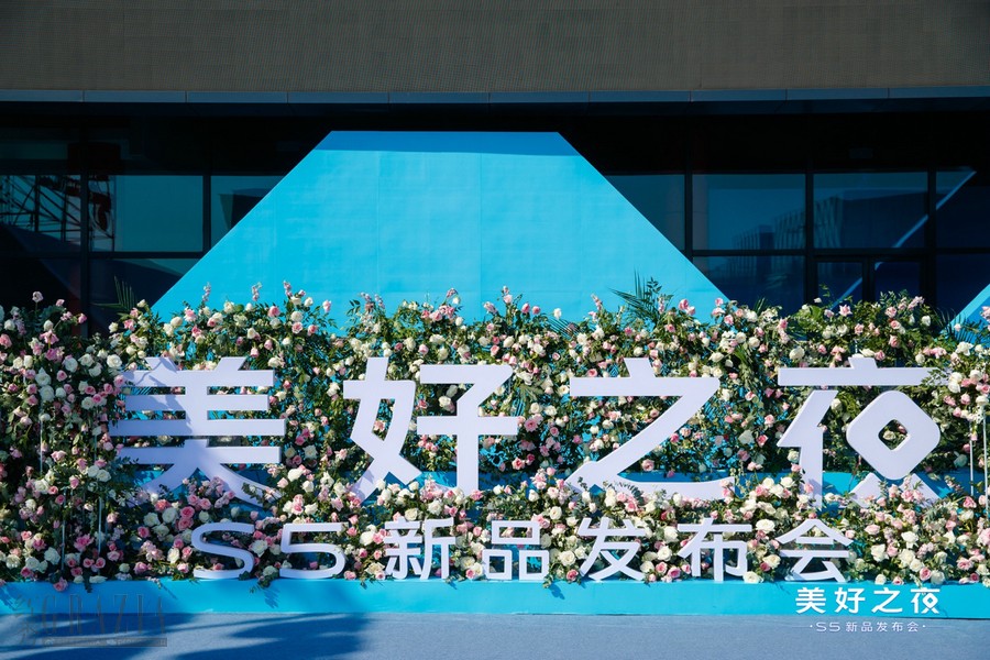sxbnv20191116020615.jpg image001.jpg