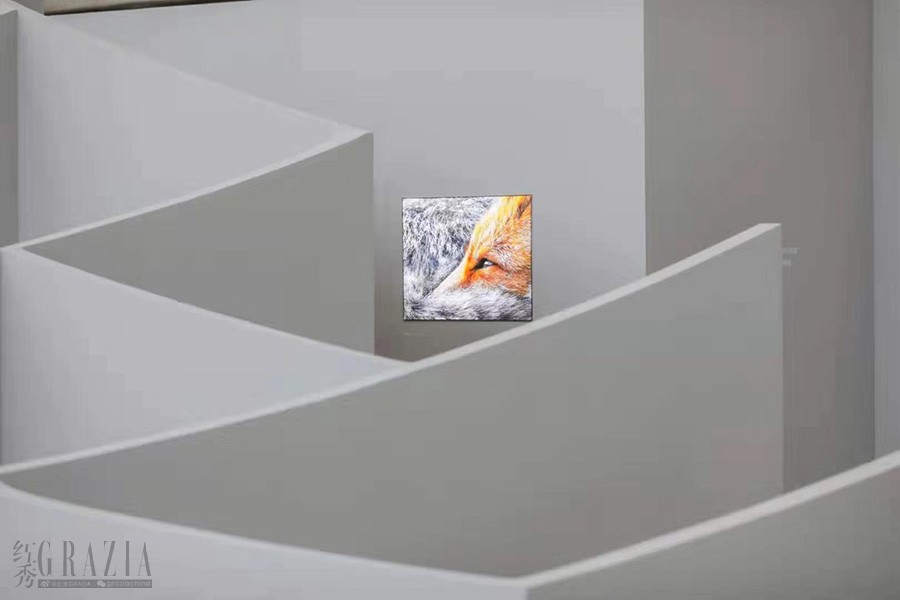 inbix20191223194854.jpg