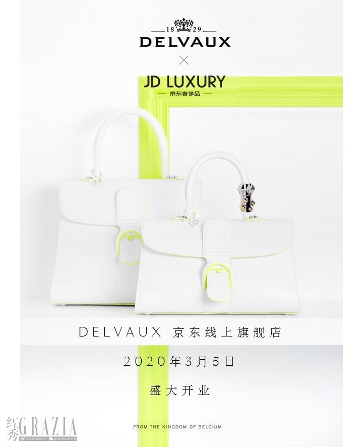 Delvaux X JD Luxury.JPG