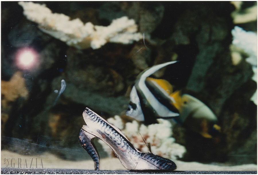 Maquereau shoe first creation taken at the Tropical Aquarium of the Palais de la Porte Dorée in 1988 - © Christian Louboutin.jpg