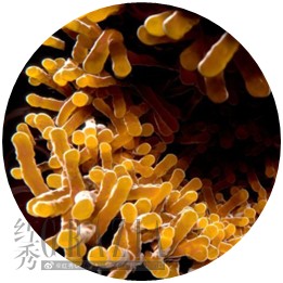 bmrjt20200917202239.png 微信图片_20200917201521.png