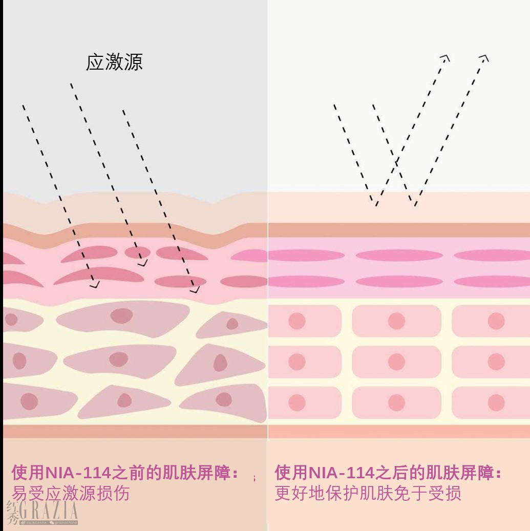 7. StriVectin思薇婷专利成分NIA-114™功效.png