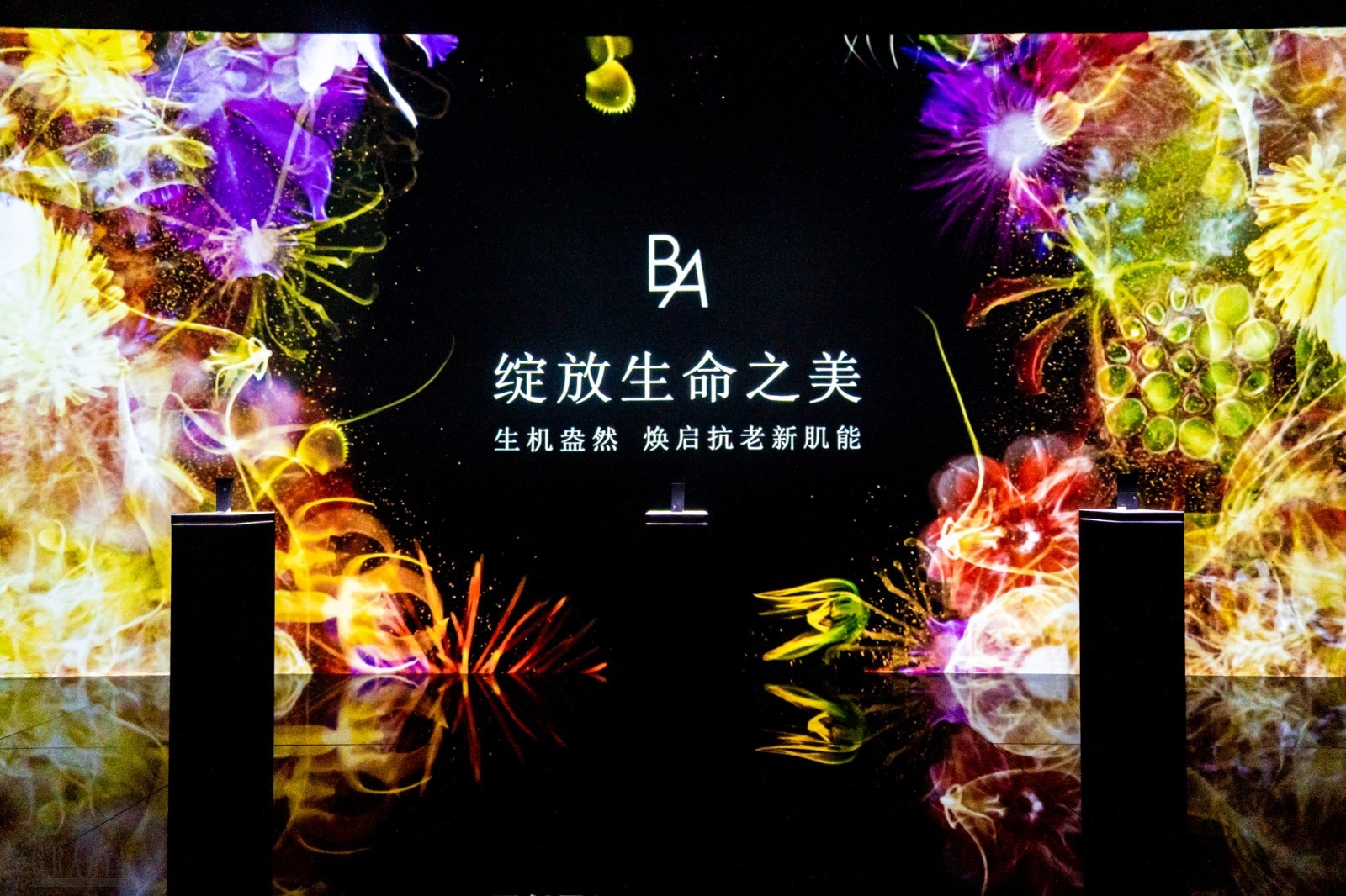 ugqtu20210304181723.jpg 6.jpg