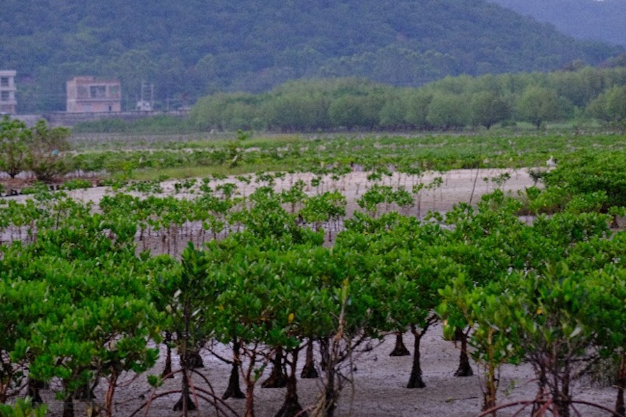 bhinm20211108200839.png 图片4.png