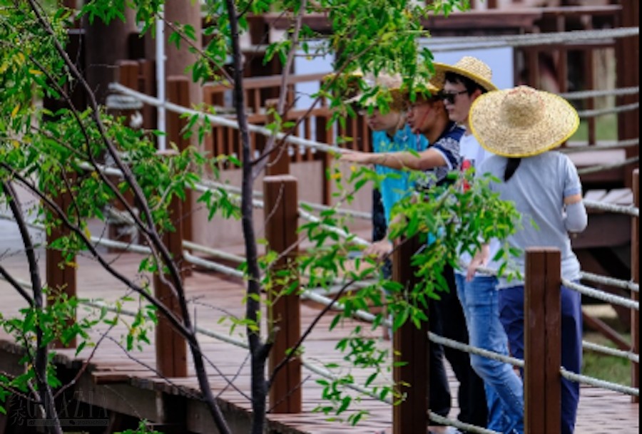wvsoh20211108200858.png 图片5.png
