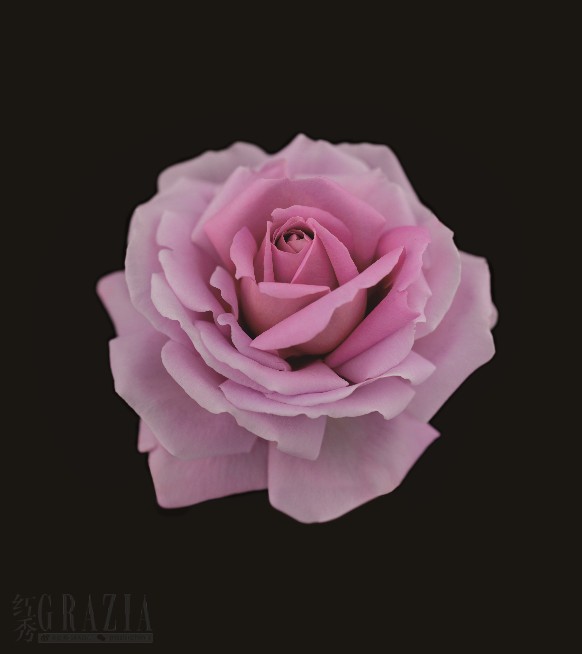 muluz20220121160719.png image003.png