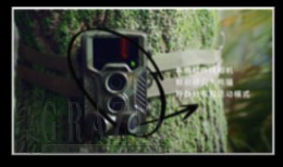 lzwoo20220609145021.png image015.png