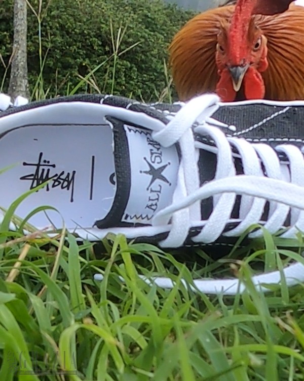 SU22_STUSSY_ONE STAR_173120C_2.png