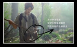 sdqcj20220609145029.png image017.png