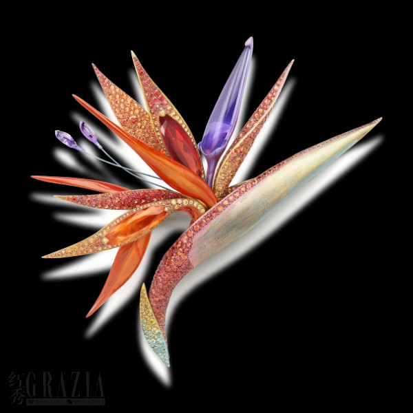 azuce20220707171236.png 11.png