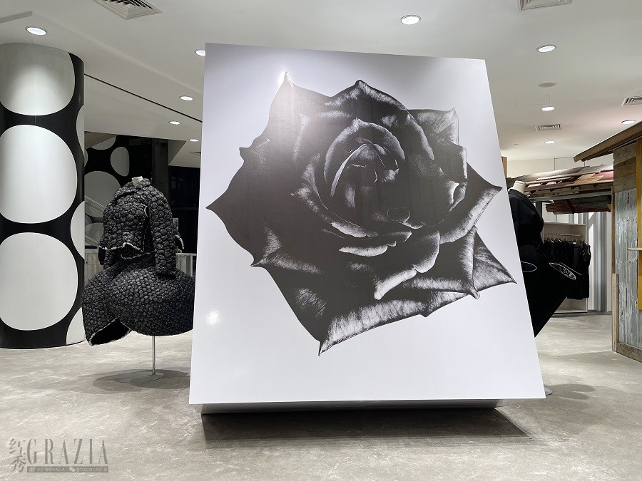 kpepz20220815161148.JPG 2 COMME des GARÇONS.JPG