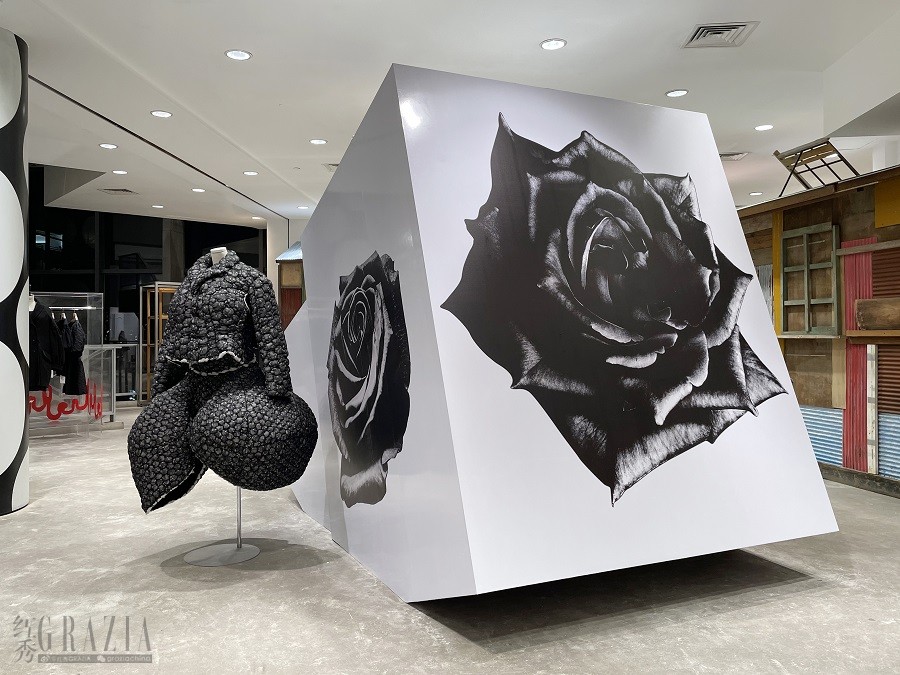 ueoib20220815161120.JPG 1 COMME des GARÇONS.JPG