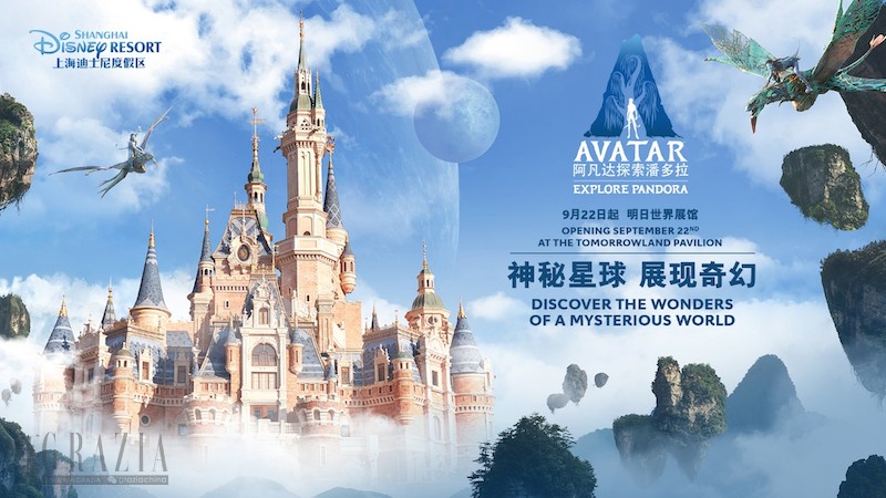 vhwcy20220919172717.png 图片12.png