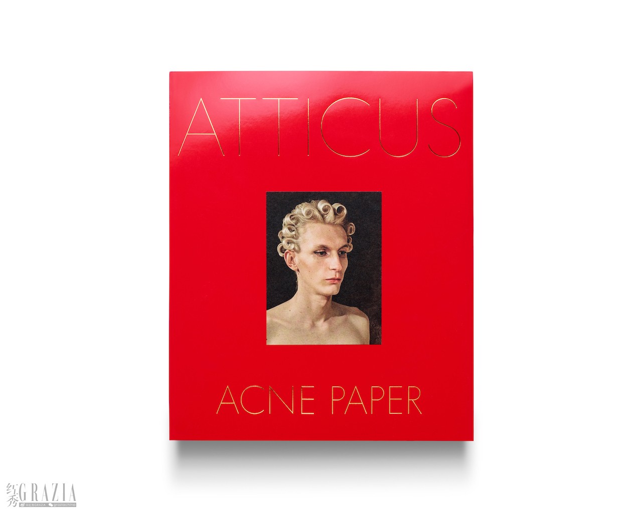lynxd20221103121659.jpg Acne_Paper_Book_Images_Press_4-5_1.jpg