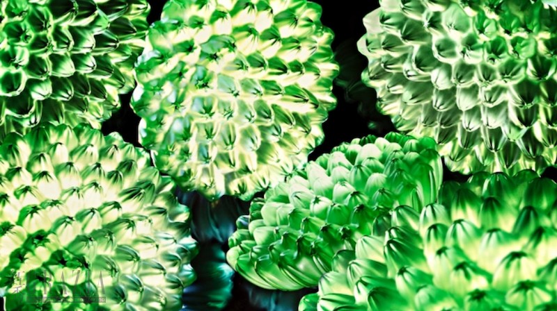 yvvap20221108170007.png 截屏2022-11-08 16.50.49.png