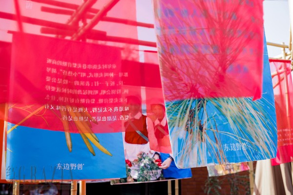 jqrqc20230109182527.JPG 4f草药露台3.JPG