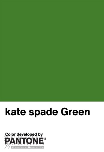 kate spade chip v2.jpg