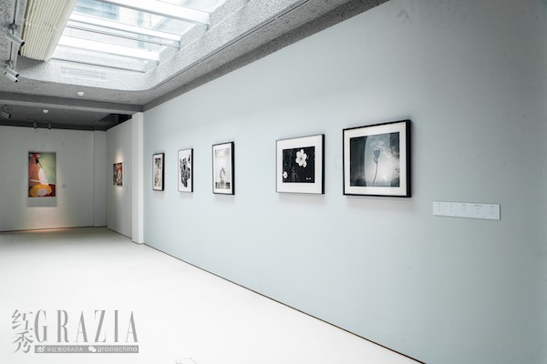 pbmxp20230326123054.JPG 03 展览空镜4.JPG