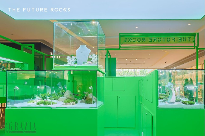oqypd20230530035320.png 细节1.png