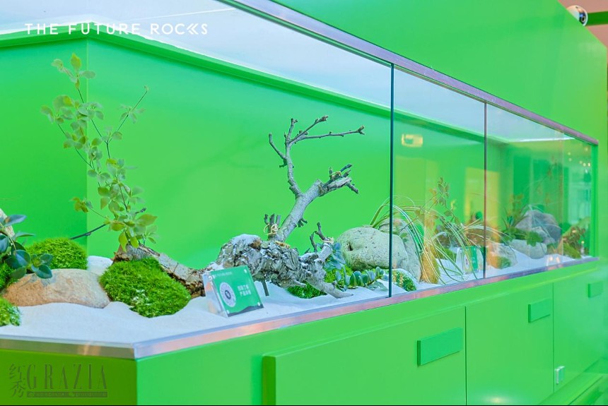 pygda20230530035331.png 细节2.png
