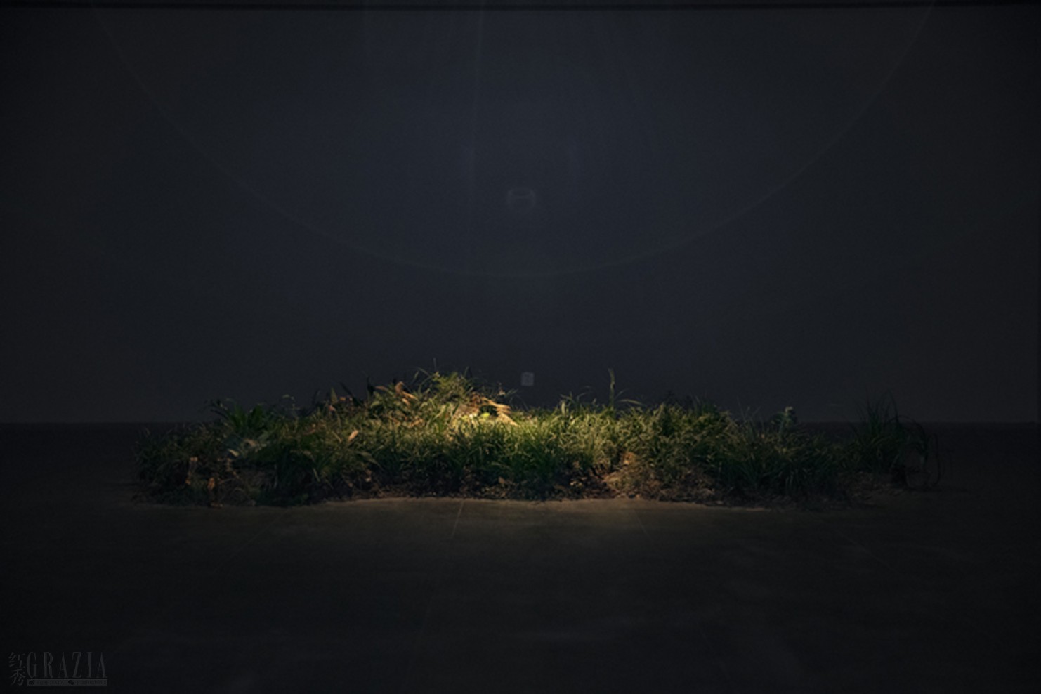 ptymw20230614182309.png 范西.绿洲.png
