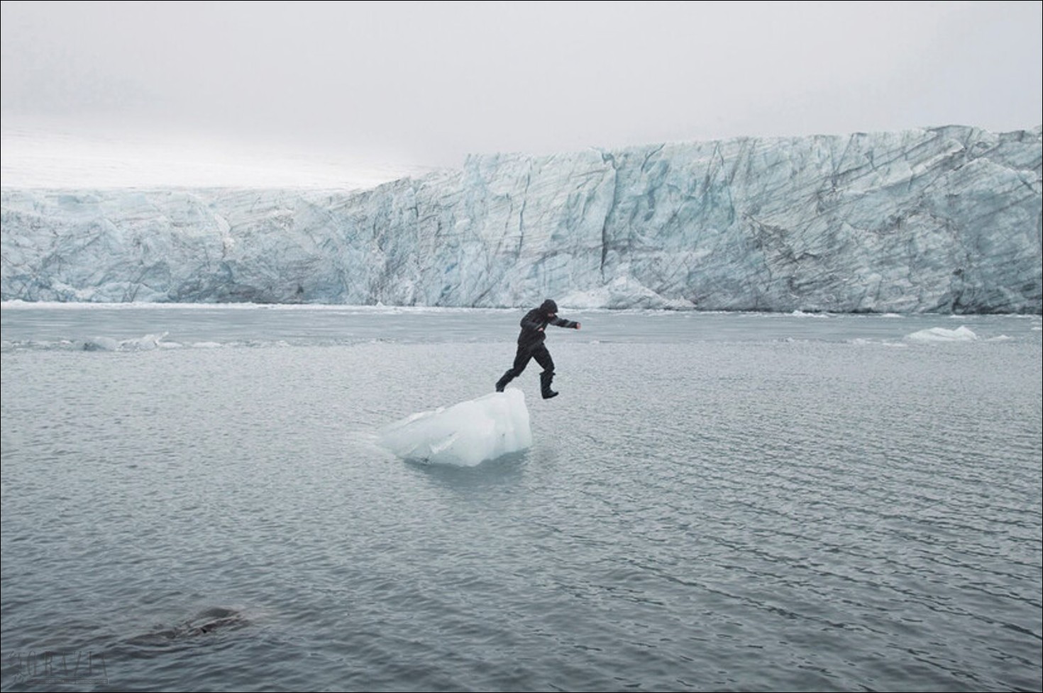 rquab20230614183138.png 赵仁辉-Trying To Be A Polar Bear.png