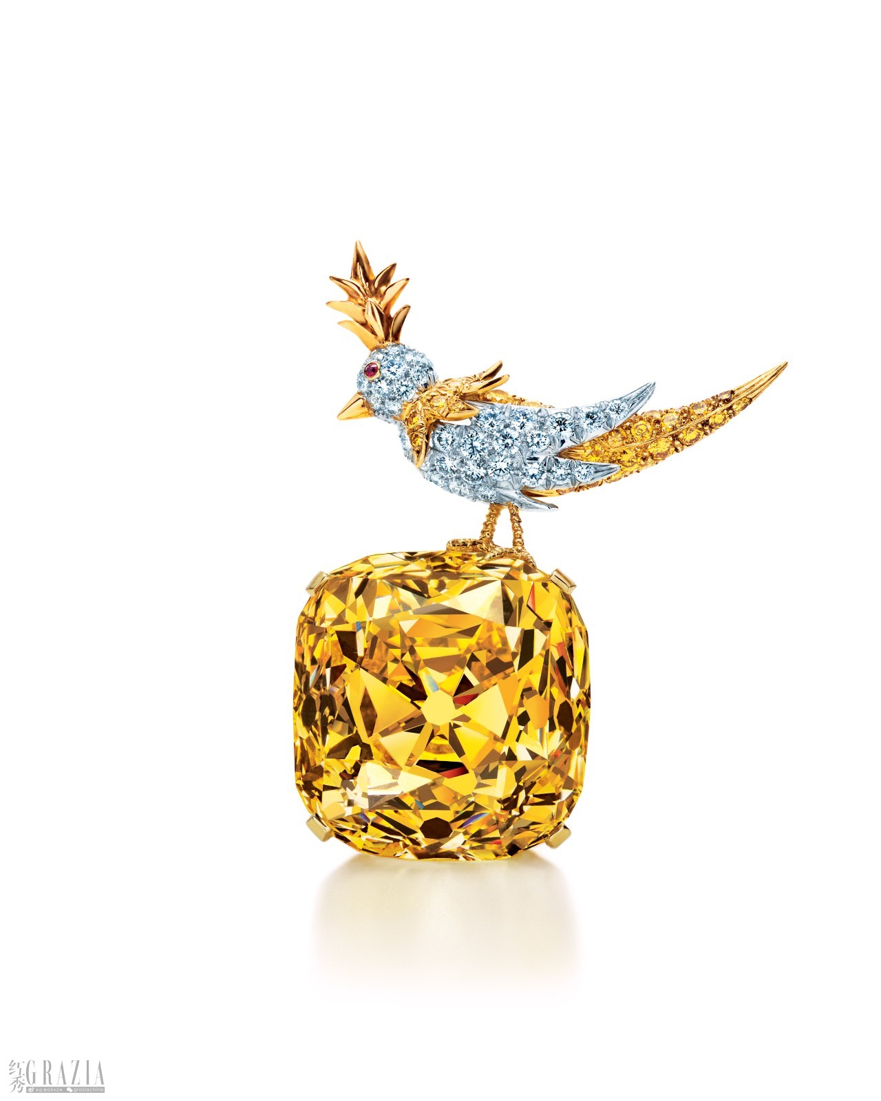 “The Tiffany Diamond”蒂芙尼传奇黄钻镶嵌于让·史隆伯杰的作品“石上鸟”胸针（1995年）.jpg