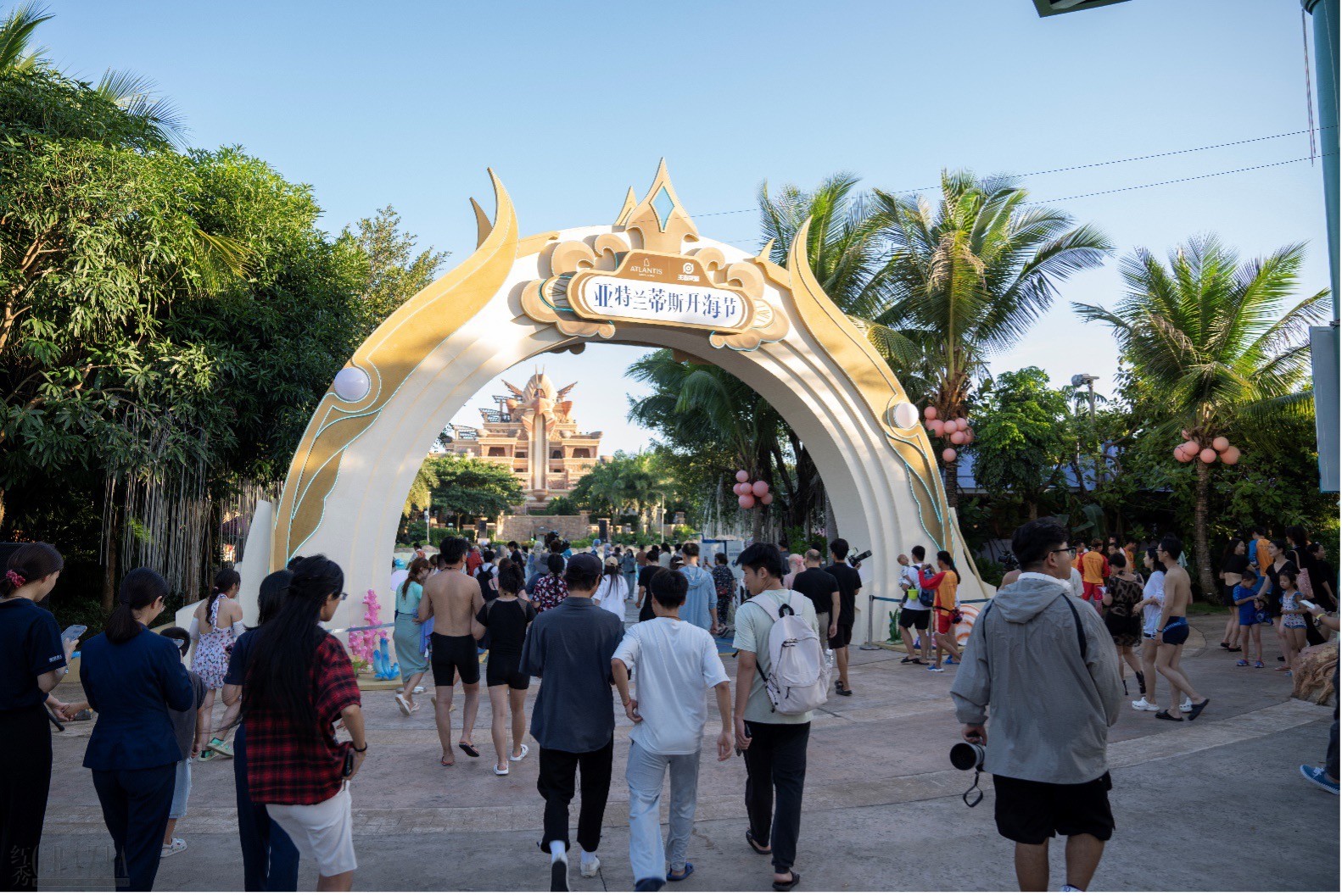 eavtj20231110174607.jpg 王者5.jpg