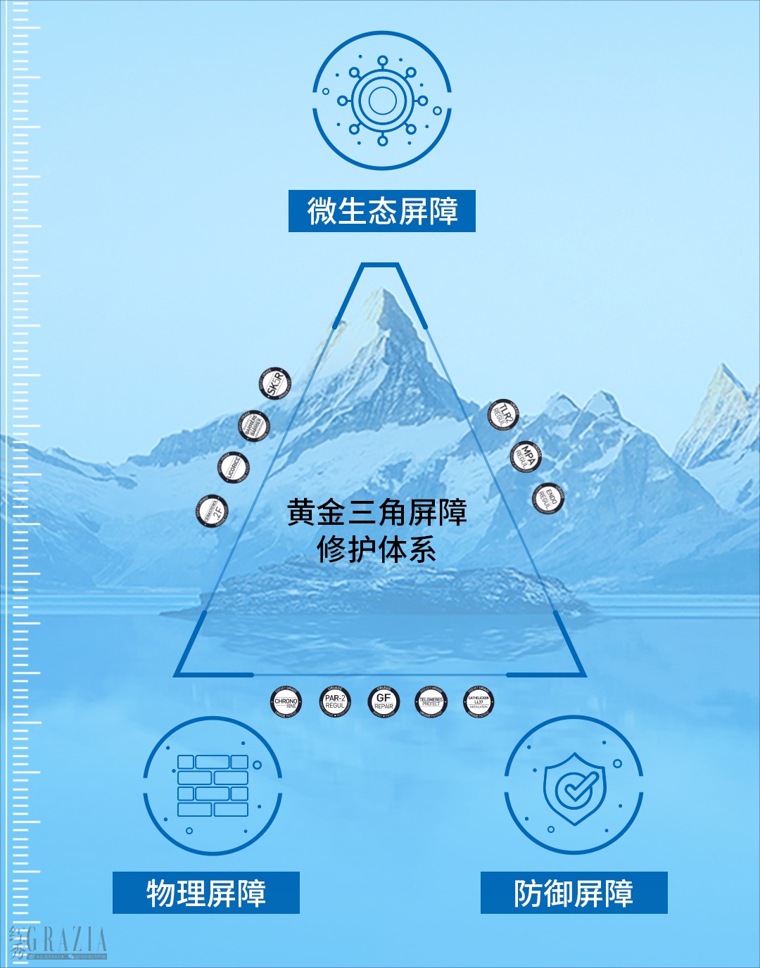 tjrmc20231114170829.png 黄金三角屏障修护体系图解.png