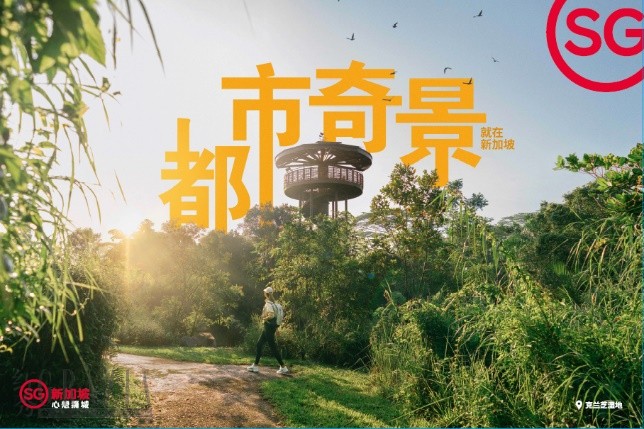 wrcwi20231116115411.png 图片 4.png