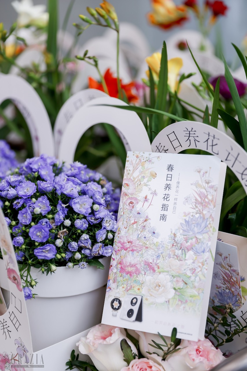 awovg20240308171606.png 图片30.png