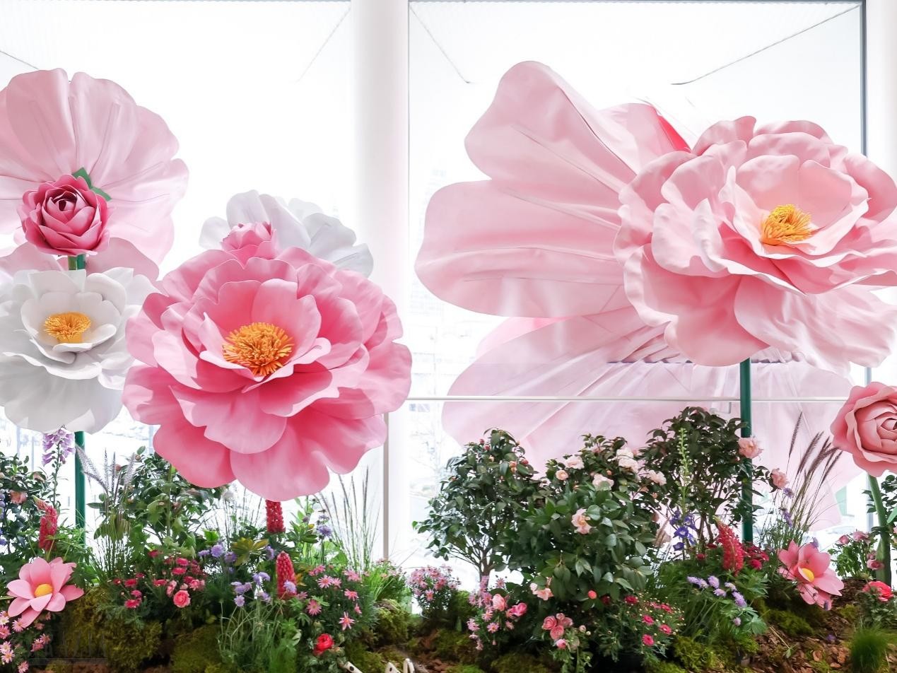 syypg20240308171322.png 图片25.png