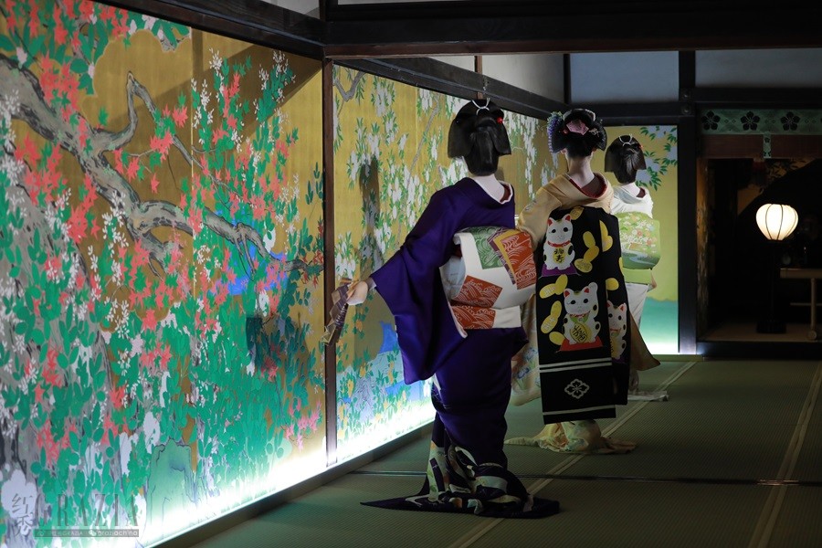 GEIKO & MAIKO PERFORMANCE(1).JPG