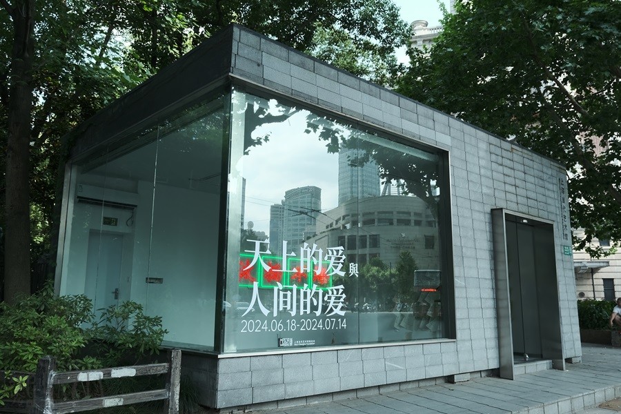 sowkx20240619163738.JPG