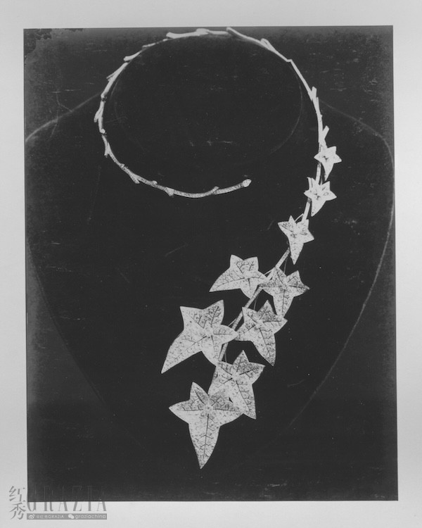 sutcg20240726152515.jpeg 首款常春藤问号项链,镶嵌钻石,1881年©Boucheron宝诗龙典藏档案.jpeg