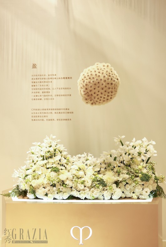 lasiv20240805011511.png WX20240805-010621@2x.png