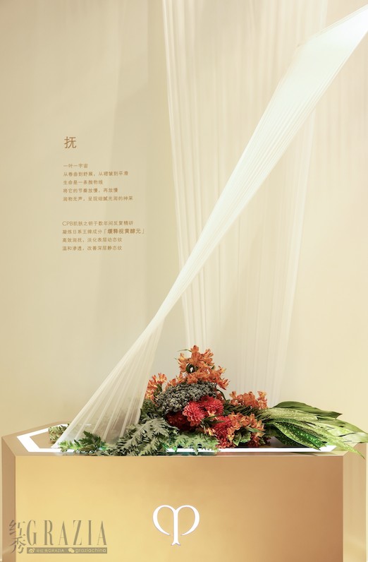 rgrwa20240805011541.png WX20240805-010701@2x.png
