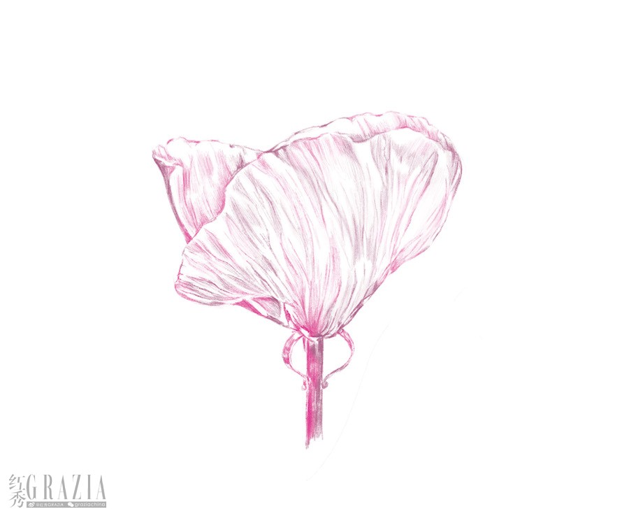 rgspv20241111125922.jpg Sparks of roses_petal detail_drawing.jpg