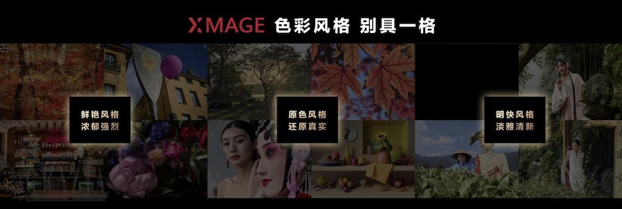 wwowe20241127120735.png 截屏2024-11-27 上午11.56.41.png