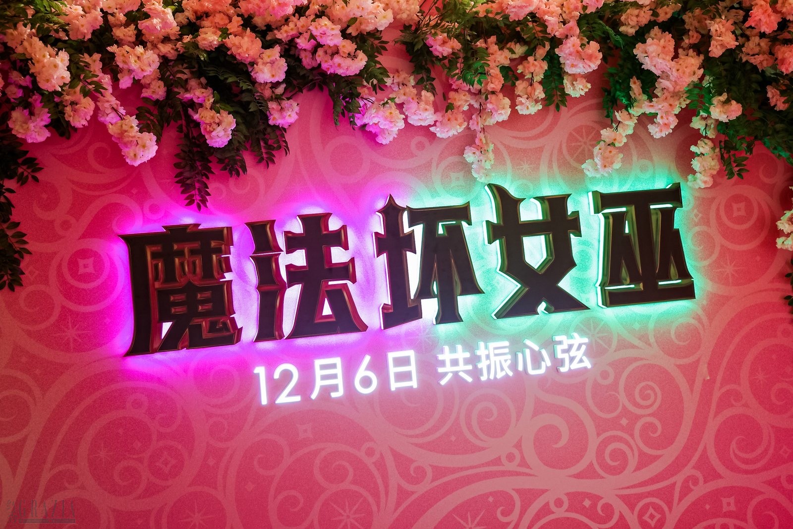 vdxxo20241205162934.jpg 现场图5.jpg