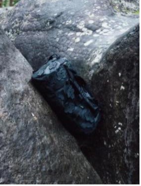 dvxra20250310154956.jpg tnf4.jpg