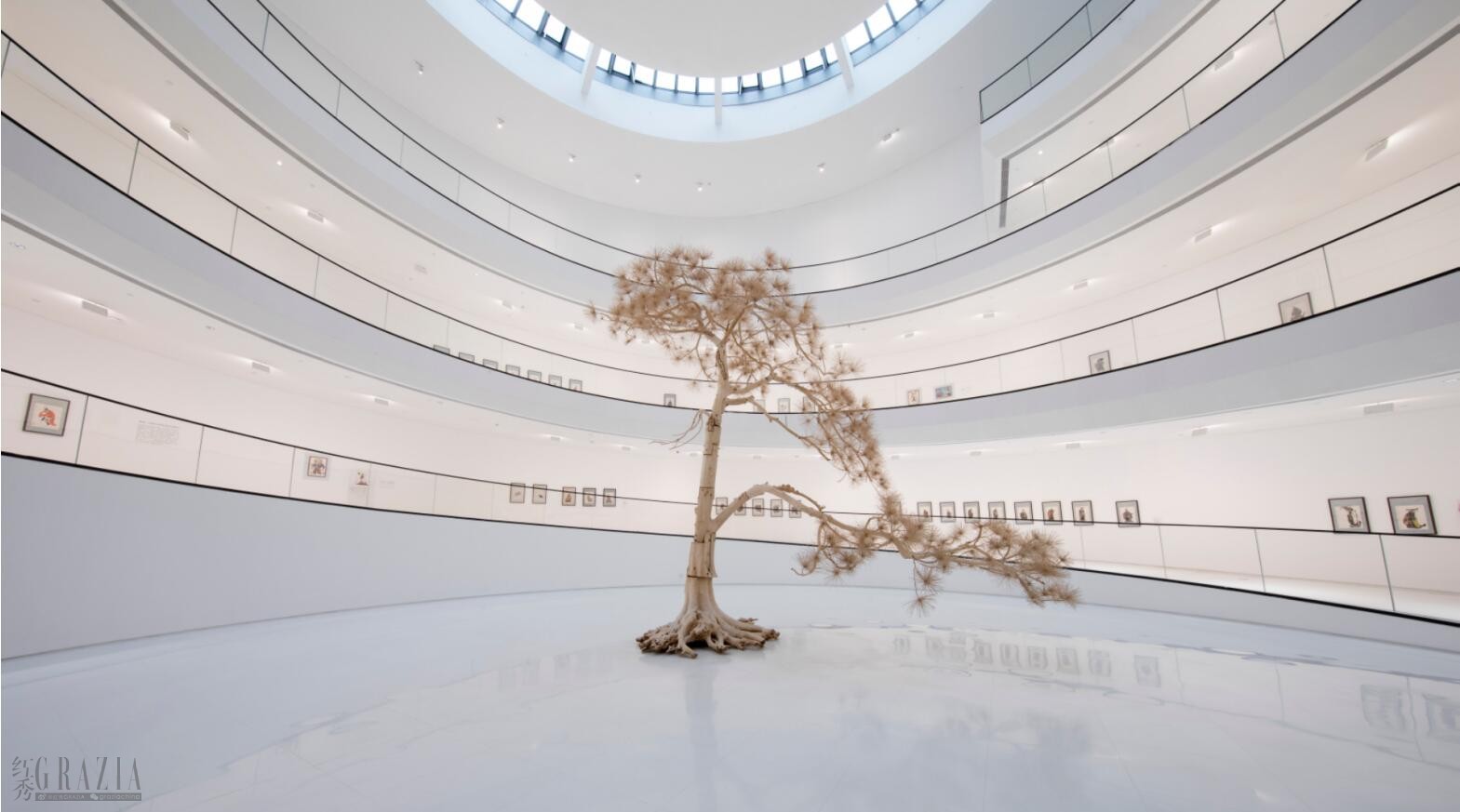 QQ截图20250331134322.jpg