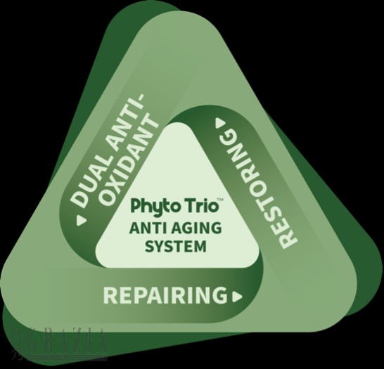 elvmp20250512143432.png phyto1.png