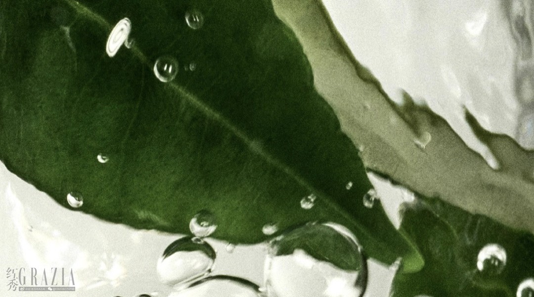 pmmrh20250729003534.png 4.png