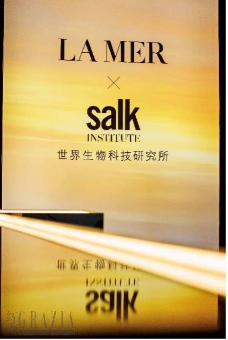 lamer3.jpg