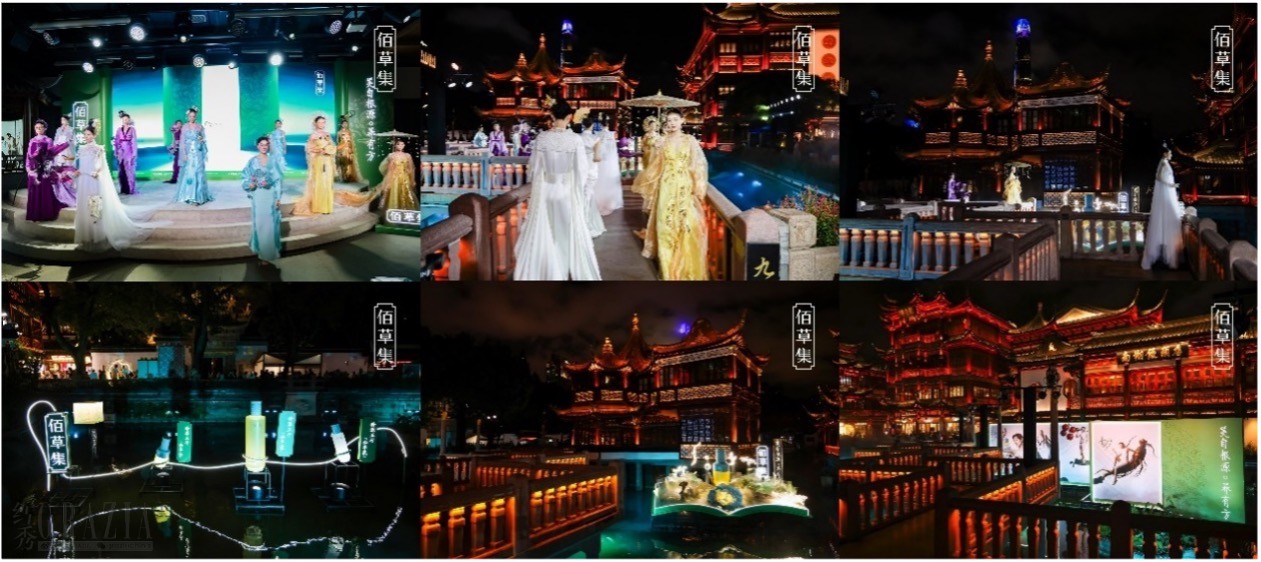 百草15.jpg