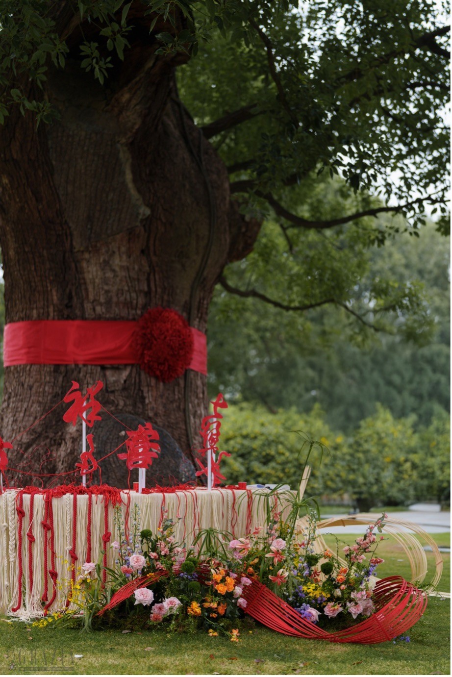 chphu20251107063658.jpg mb3.jpg