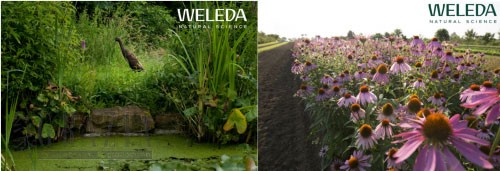 okwuv20251125003848.jpg 4.jpg