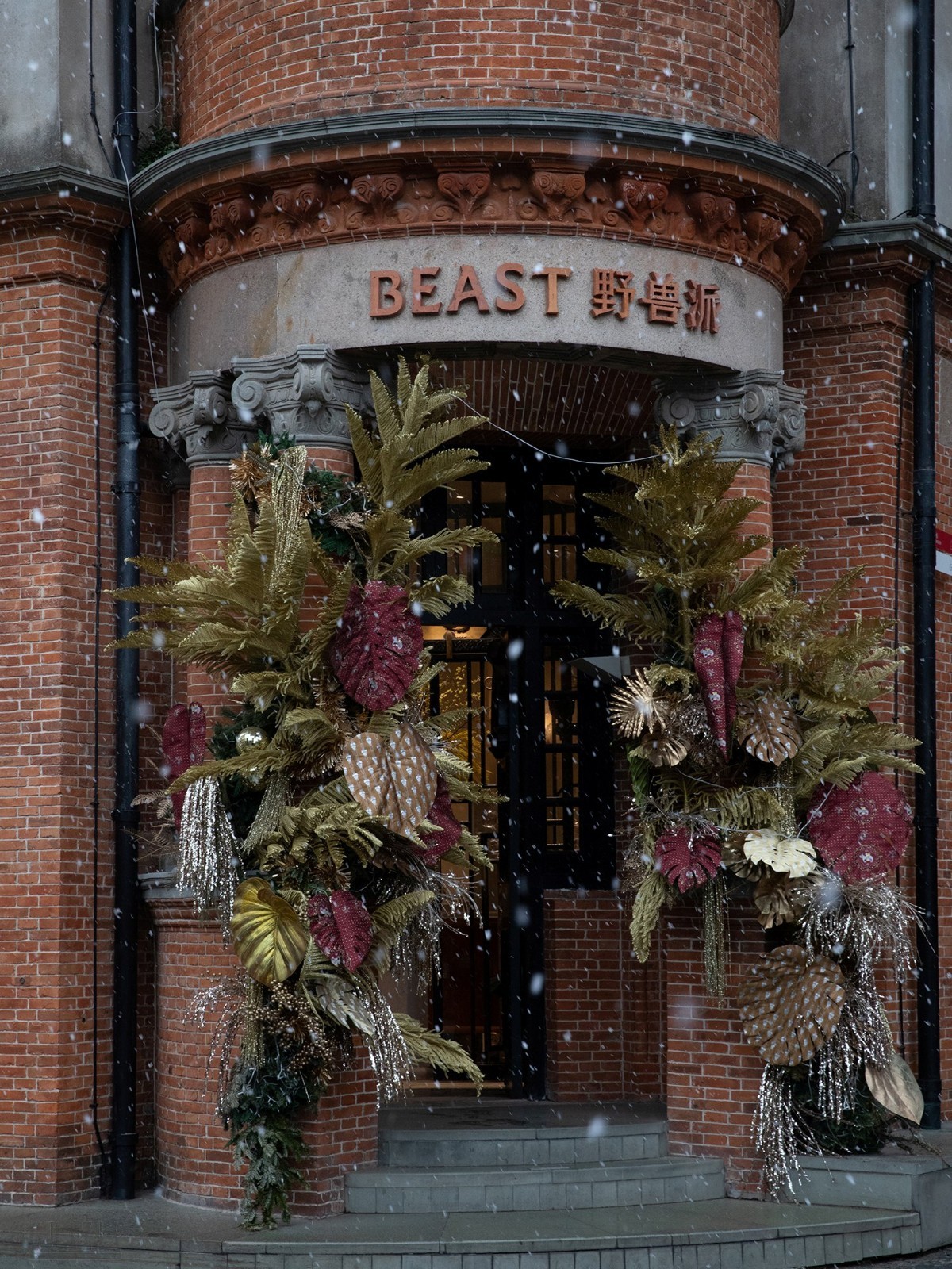 amiza20260122134115.jpg 564A1218 拷贝.jpg