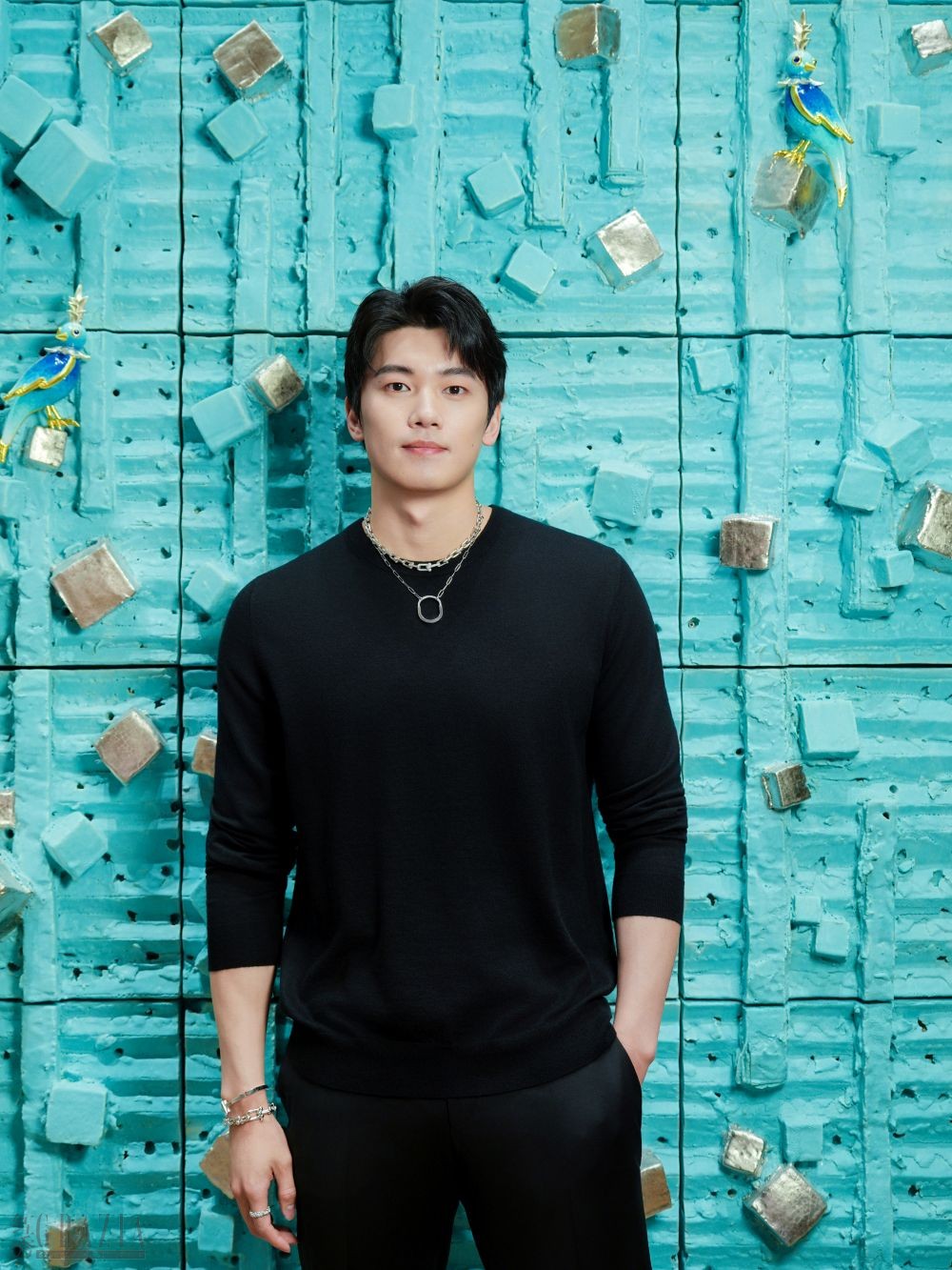 世界游泳冠军、品牌挚友汪顺 (2).jpg